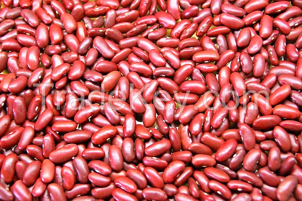 red kidney beans