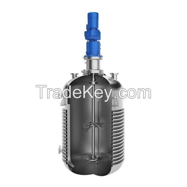 Top entry Magnetic Drive Mixer