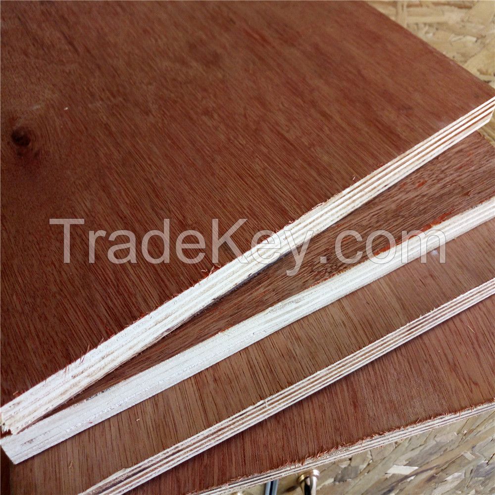 18mm phenolic, construction plywood made in China