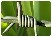 supply Barbed Wire