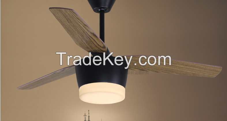 modern ceiling fan with led light