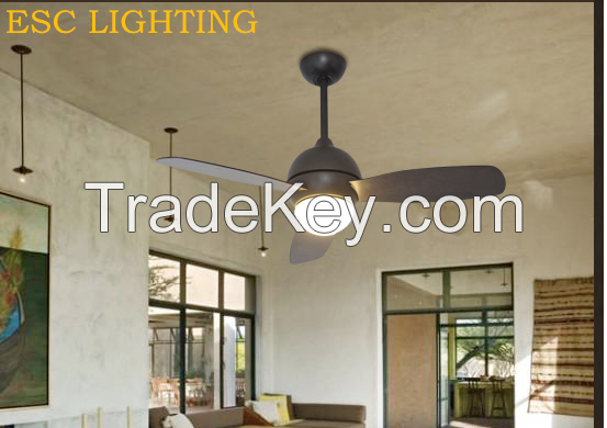 modern ceiling fan with led light