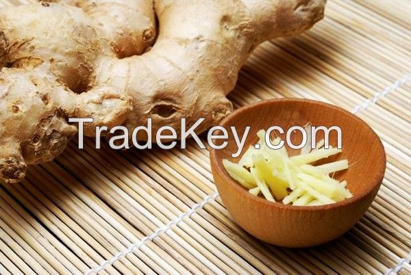 Vietnam Fresh Ginger with hot price