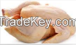 Frozen Whole  Chicken