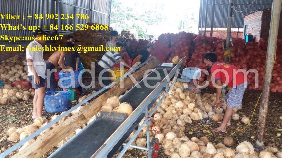 Export fresh coconut/ dried coconut, sell good price and good quality