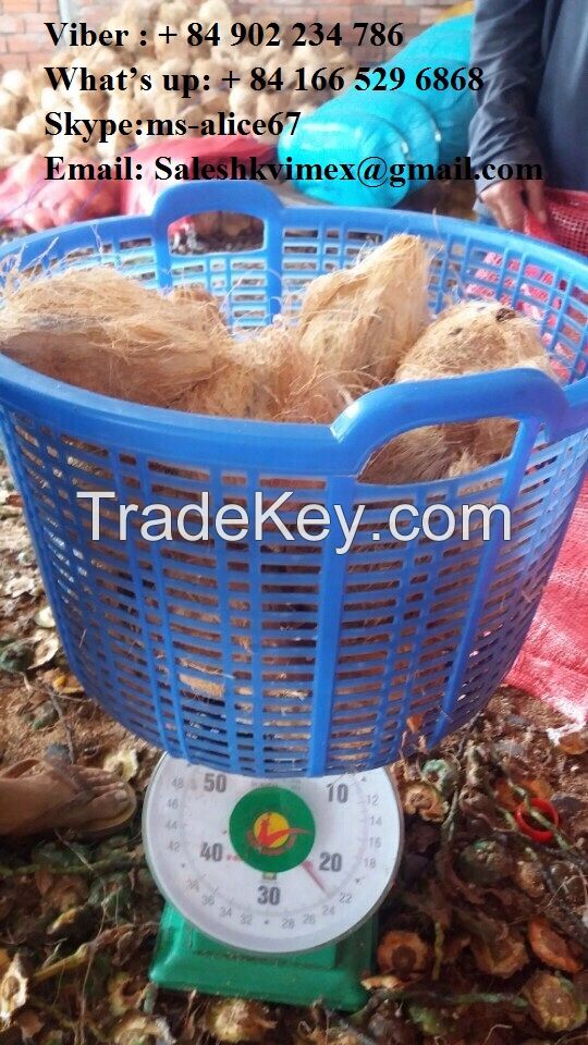 Export fresh coconut/ dried coconut, sell good price and good quality