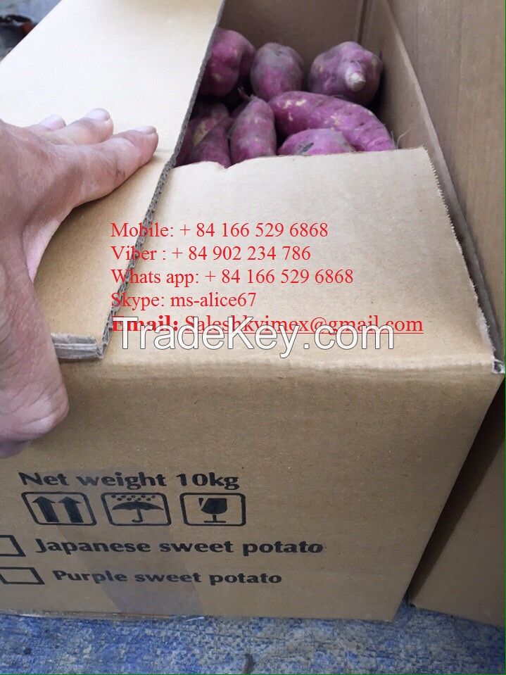 Export fresh sweet potatoes/ sweet potato , good price and good quality