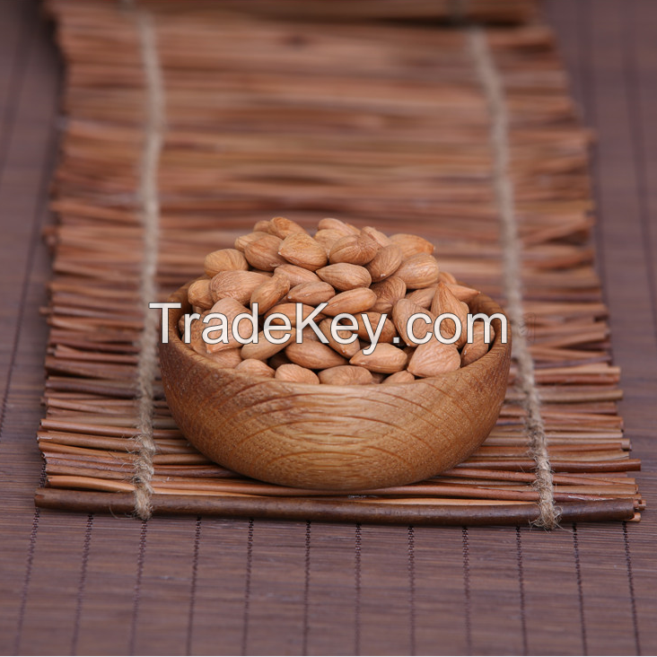 top quality raw organic bitter almond, almond seed, low price apricot kernel for sale