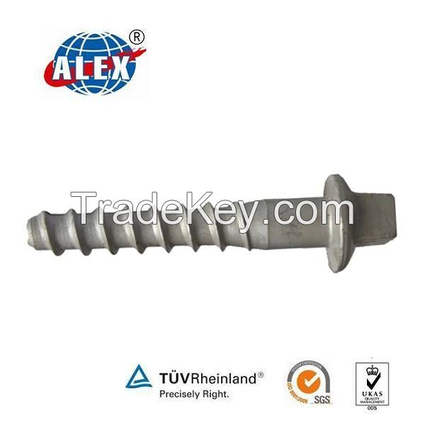 Specialized in Exporting Railway Fastener Plain Elastic Railroad Screw Spike 