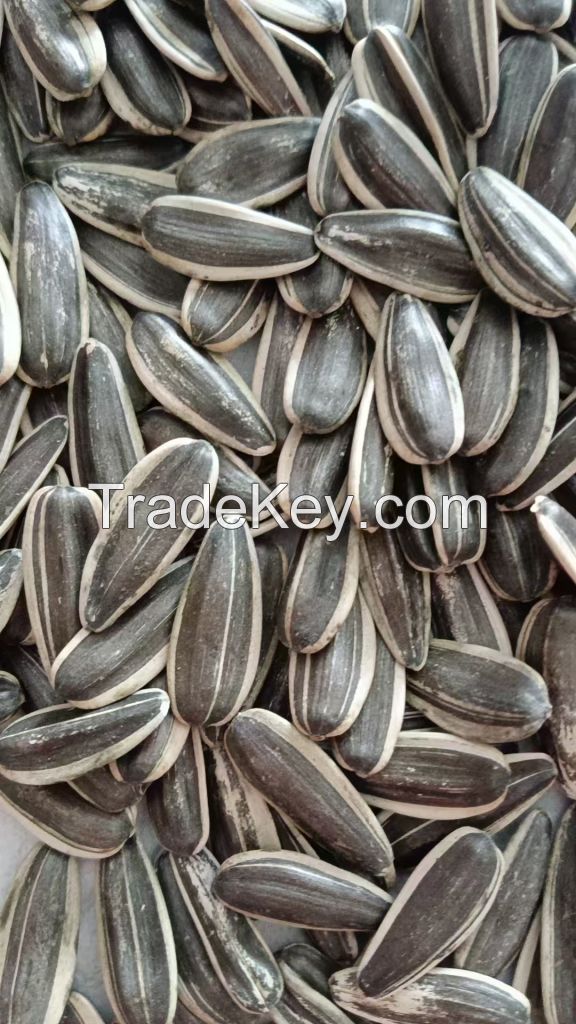 pumpkin seeds