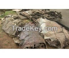 DRY SALTED DONKEY HIDES WITH HEADS,EARS AND TAILS