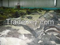 Dry and Wet Salted Donkey Hides