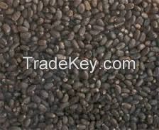 Palm Kernel 