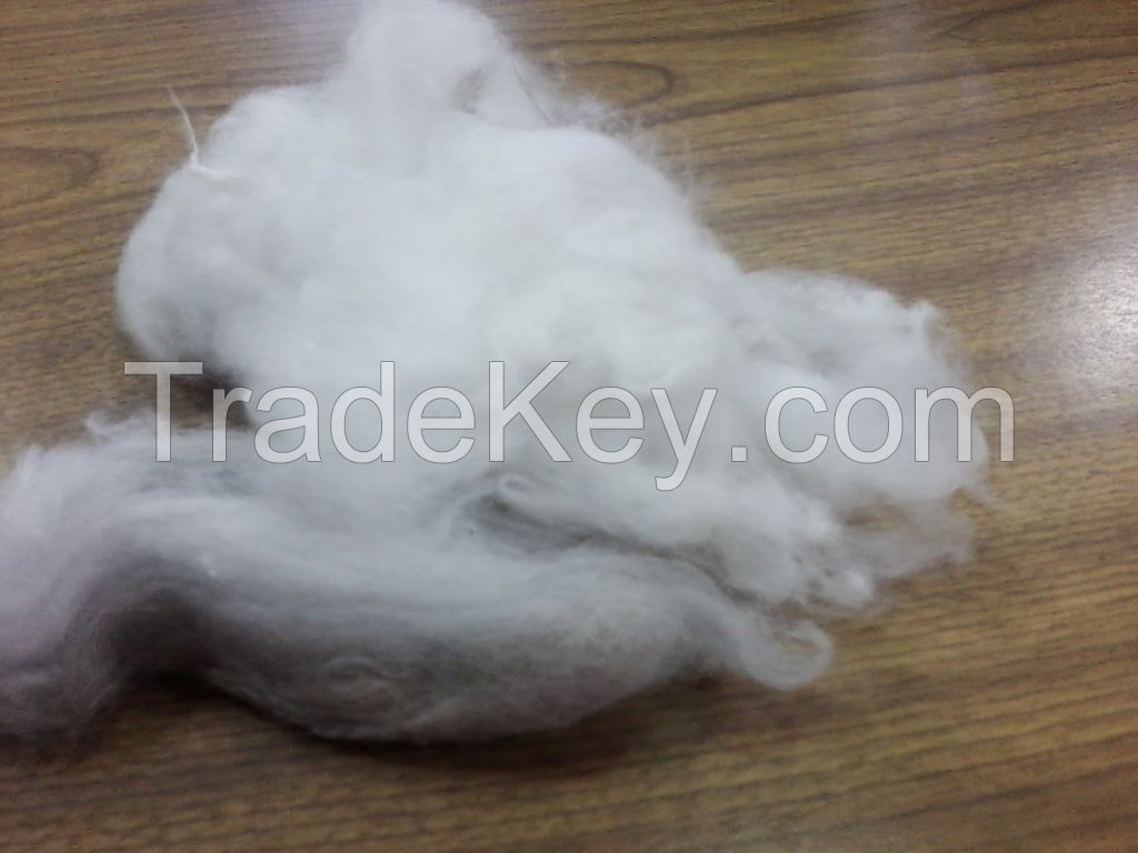 English Angora Rabbit Fur