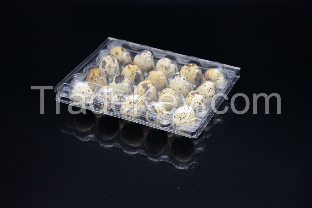 Plastic quail egg tray