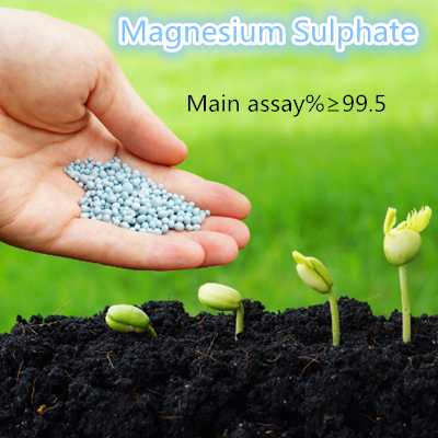 White Granular Fertilizer Potassium Sulphate for Fruit Trees