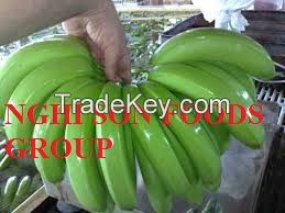 Fresh Cavendish Banana from Viet Nam