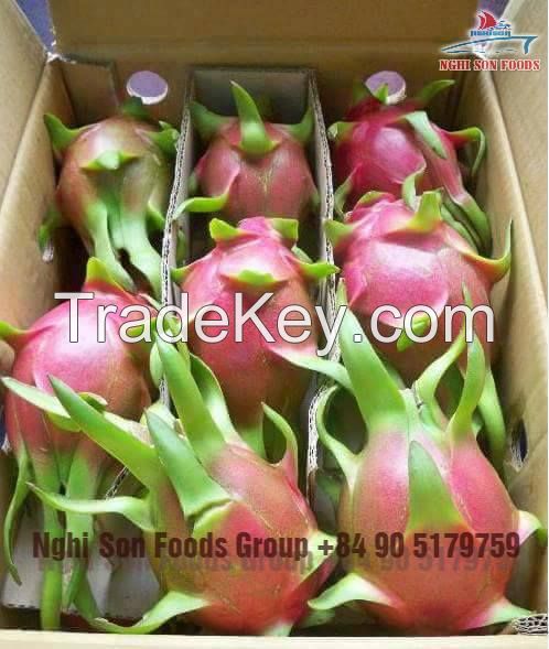 Fresh Dragon Fruit