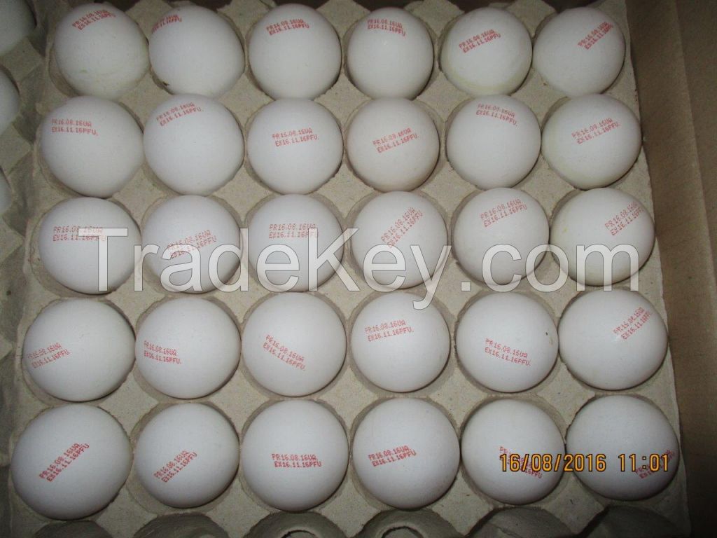 Chicken Eggs