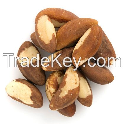  BRAZIL NUTS