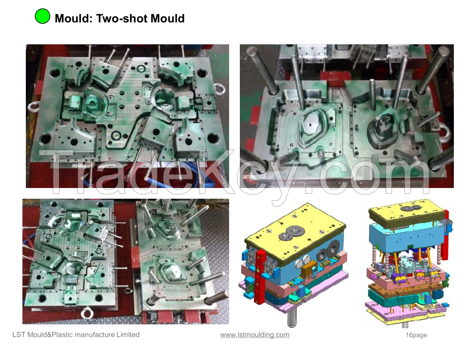 Customozied Auto Mould/Auto Parts