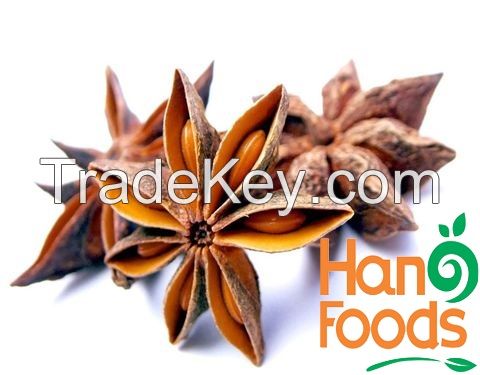 Dried Star Anise Spices