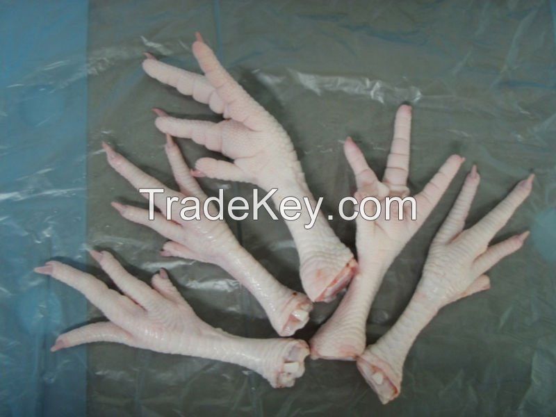 Processed or Unprocessed Frozen Chicken Feet or Paws