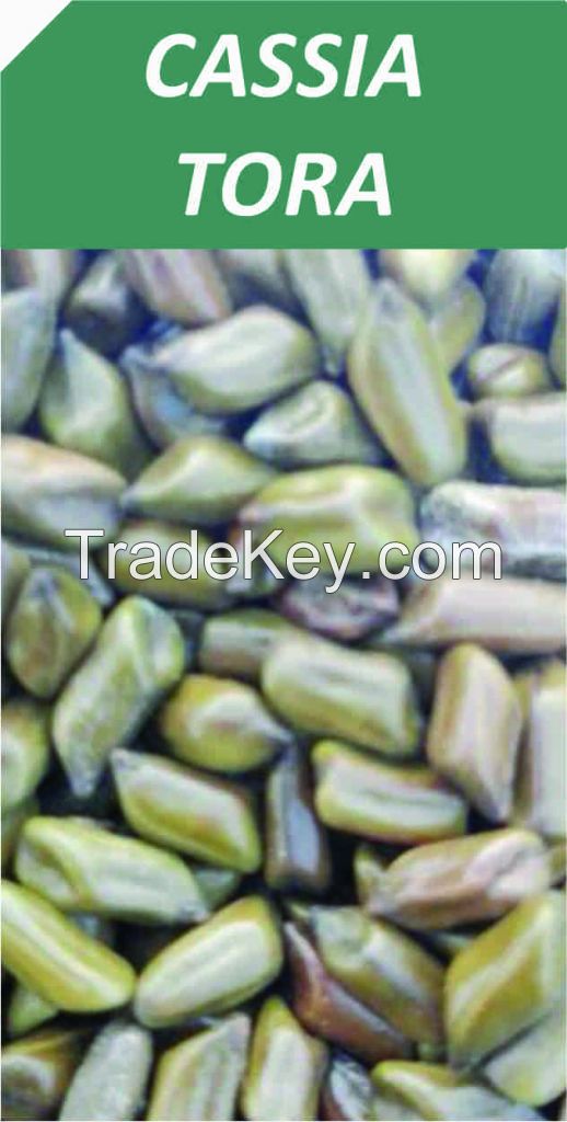 Cassia Tora Seeds