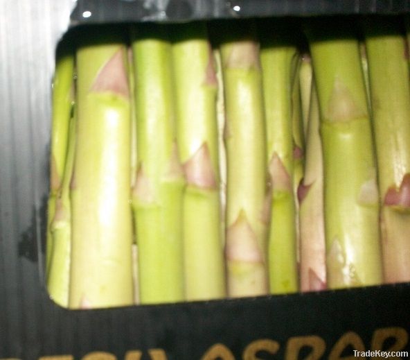 FRESH GREEN ASPARAGUS