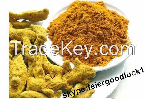 turmeric powder / skype:feiergoodluck1