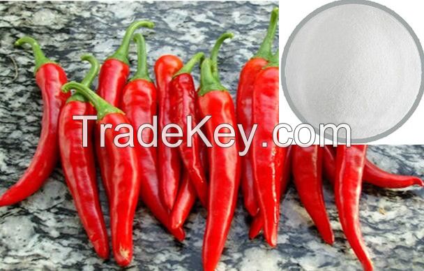 Factory Supply 95% Natural Capsaicin / skype:feiergoodluck1