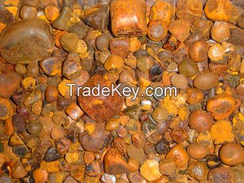 Cow Gallstone