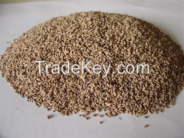 DRIED KERNELS from fruits and vegetables: CARROT, ARONIA, BLACK ELDERBERRY for: direct food, dairy, fruit preparation, oil pressing, cosmetics