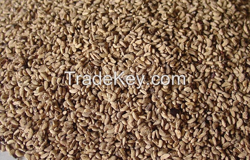 Dried Raspberry Seeds class1, class2 for: direct food, dairy, fruit preparation, oil pressing, cosmetics