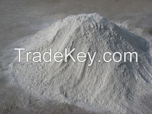 Gypsum powder