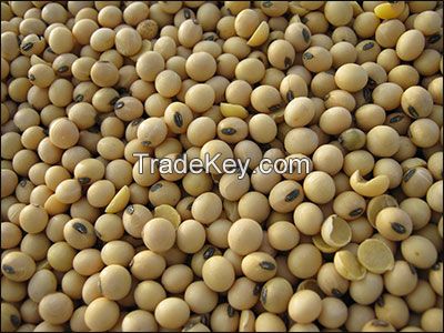 Soybeans