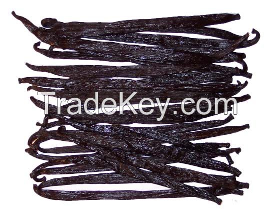 Madagascar vanilla beans, vanilla beans kg, vanilla beans with best price for sale