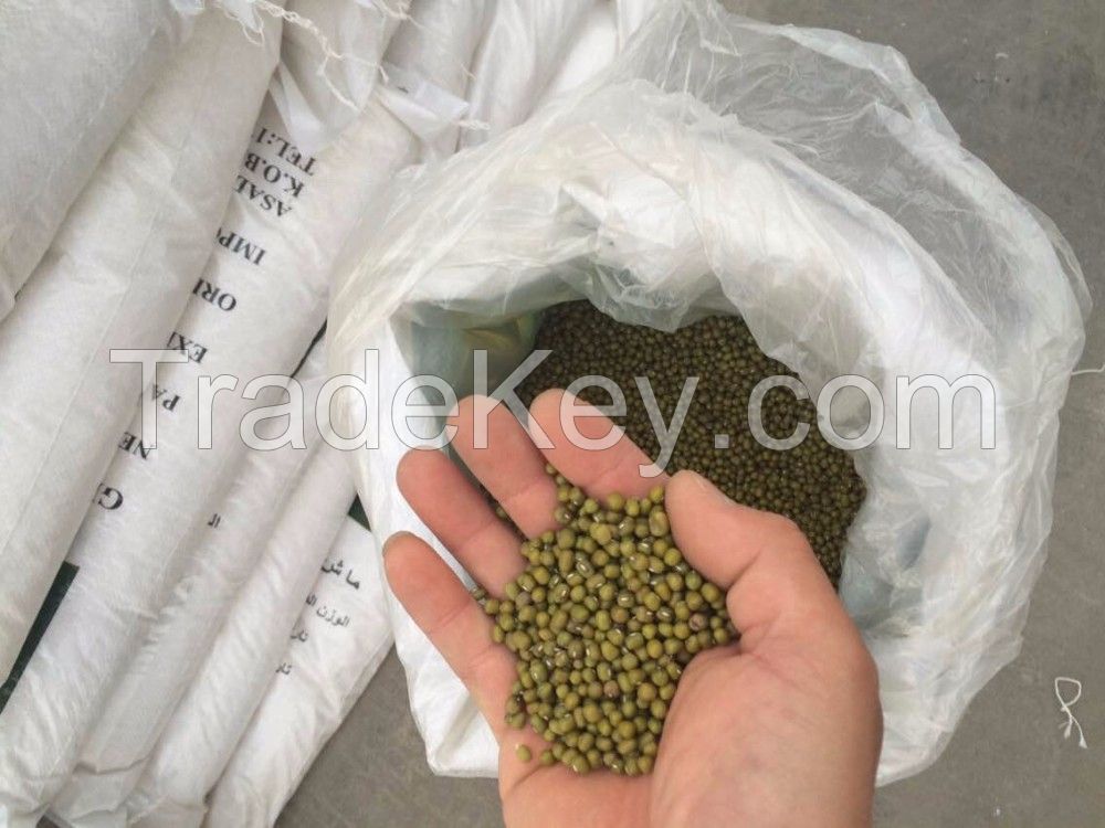 New Crop Green Mung Bean