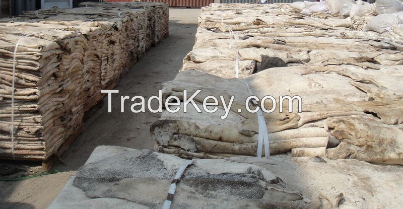 100% PURE DRY &amp;amp; WET SALTED DONKEY SKINS / HIDES, COW, GOAT, BUFFALO, RABBIT, SHEEP, HORSE  SKINS/HIDES