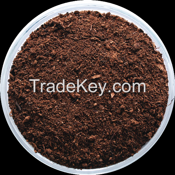 Peat Moss