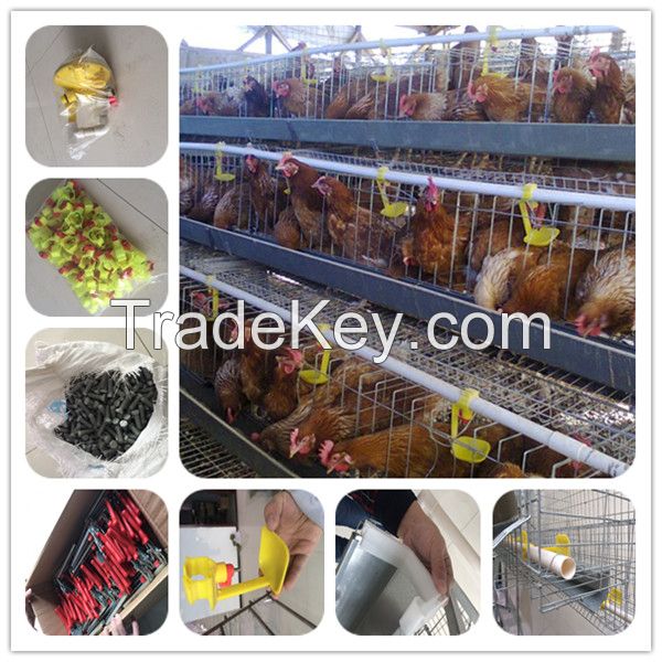 Type h commercial poultry layer cages