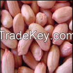 Groundnut | Peanut