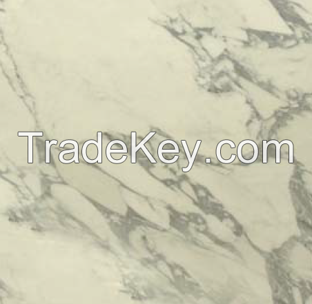 Marble Color Coated PPGI Steel Plate