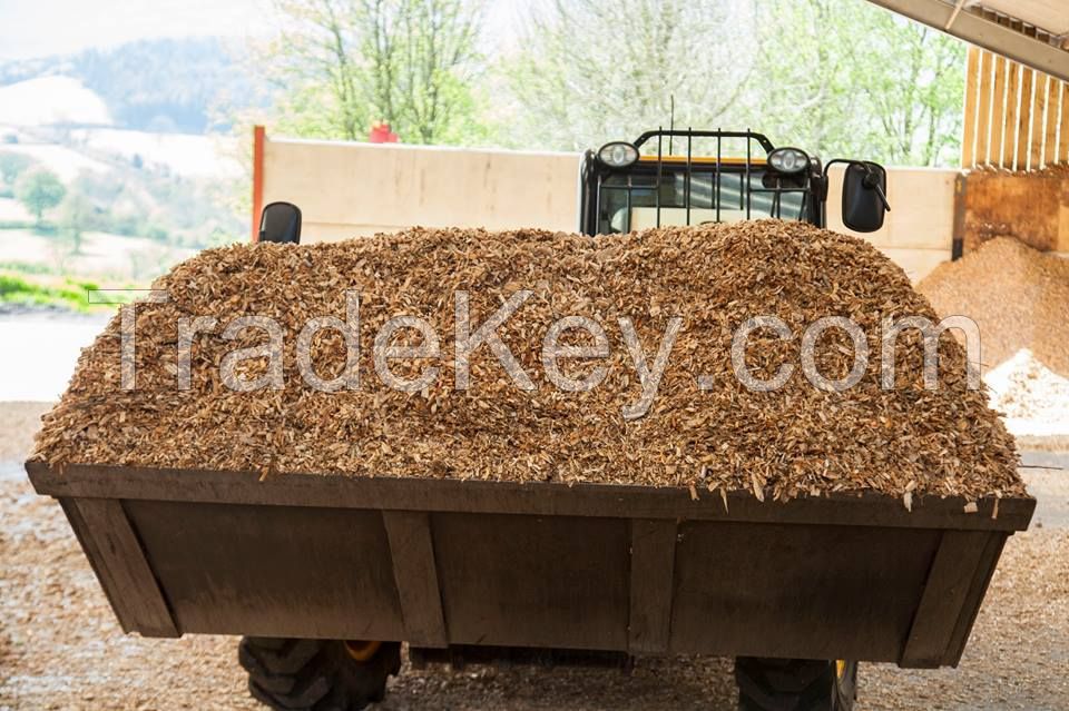 Biomass Wood Chip Fuel