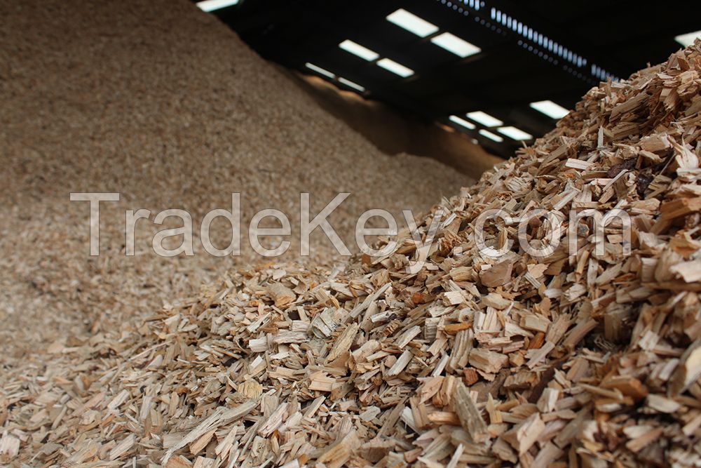 Biomass Wood Chip Fuel