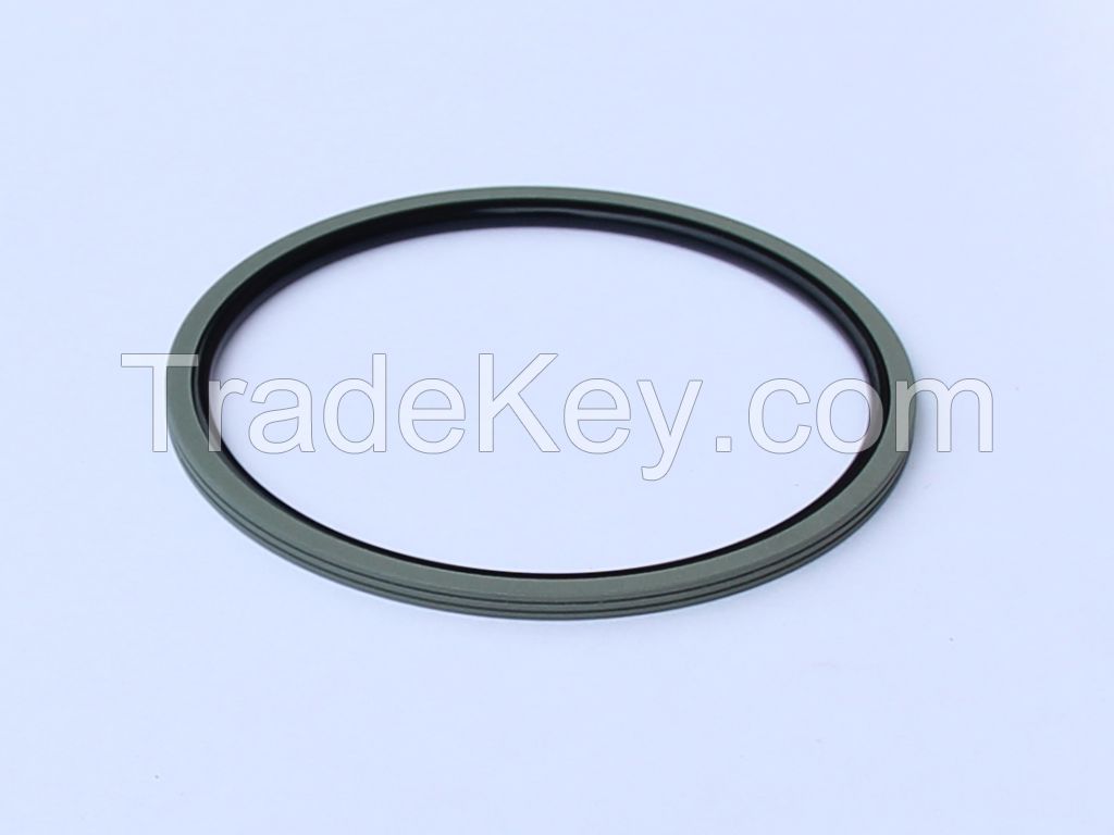 Piston rotary glyd ring DNS hydraulic seals manufacturer ptfe seal