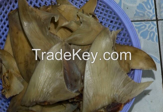 DRIED SHARK FINS