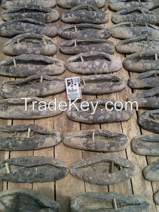 Dried Sea Cucumber