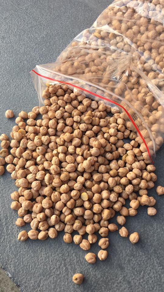 Chickpeas (8 mm above)