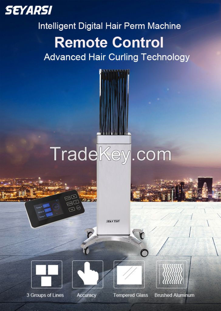 Remote Controlled, Digital Hair Perm Machine, Color Silver, TG90